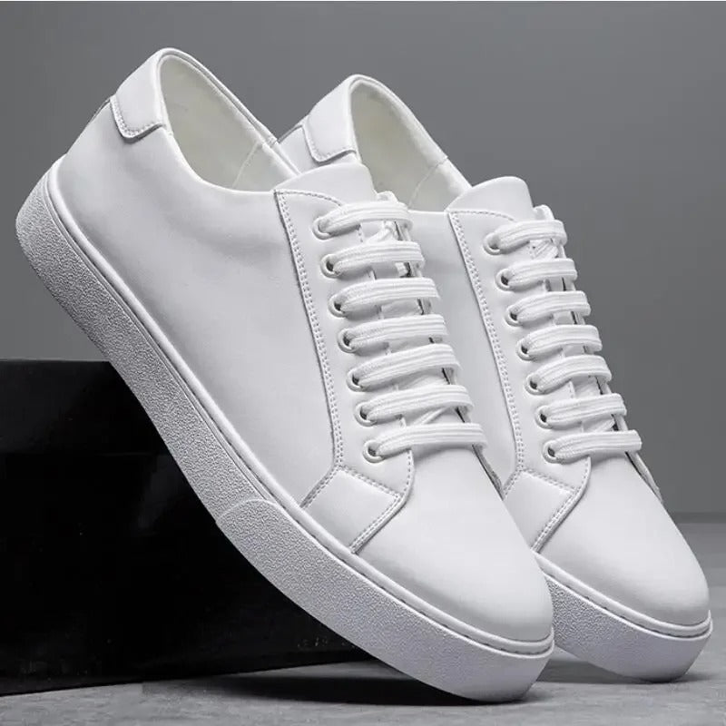 Enzo | Herren Sneaker aus Leder